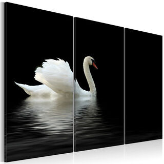 Tavla - A lonely white swan