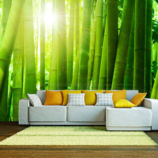 Fototapet - Sol och bambu