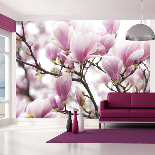 Fototapet - Magnolia bloosom