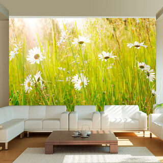 Fototapet - Kornfält - soligt landskapsvy med blommor och gräs i solen