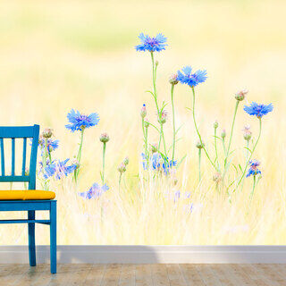Fototapet - Kornblommor - äng med blå blommor på ljus bakgrund i vintagestil