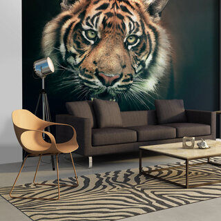 Fototapet - Bengal Tiger