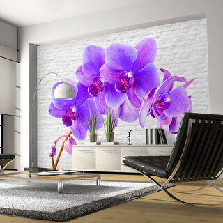Fototapet - Fiolett stimulans - blommotiv av orkidéer på vit tegelbakgrund