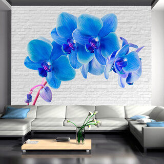 Fototapet - Blå stimulans - energifyllda orkidéer på tegelbakgrund i vitt