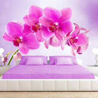 Fototapet - Eftertanke - rosa orkidéblommor på lila bakgrund