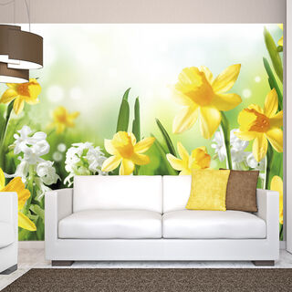 Fototapet - Vårlig promenad - äng med gula och vita påskliljor på suddig bakgrund