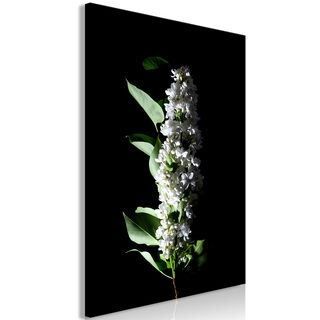 Tavla - White Lilacs (1 Part) Vertical