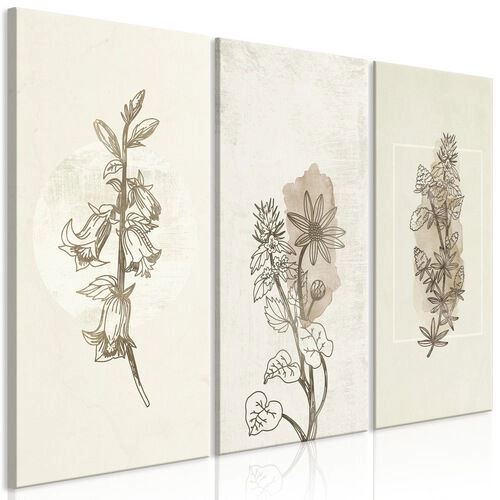 Tavla - Herbarium (3 Parts)