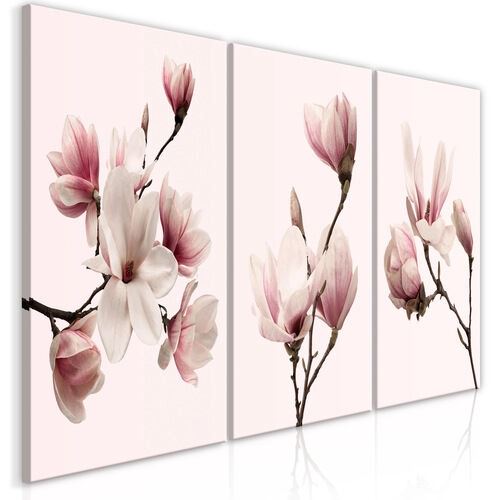 Tavla - Spring Magnolias (3 Parts)