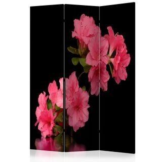 Rumsavdelare - Azalea in Black [Room Dividers]