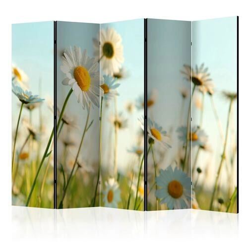 Rumsavdelare - Daisies - spring meadow II [Room Dividers]