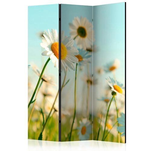 Rumsavdelare - Daisies - spring meadow [Room Dividers]