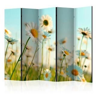 Rumsavdelare - Daisies - spring meadow II [Room Dividers]