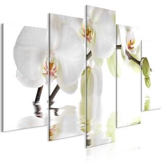 Tavla - Wonderful Orchid (5 Parts) Wide