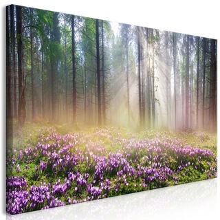 Tavla - Purple Meadow (1 Part) Wide