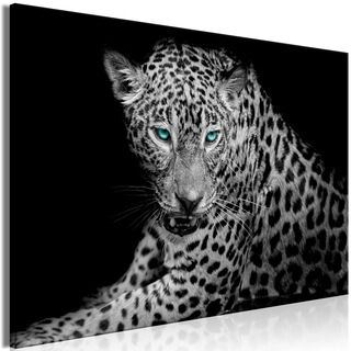 Tavla - Leopard Portrait (1 Part) Wide