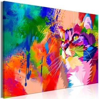 Tavla - Colourful Cat (1 Part) Wide