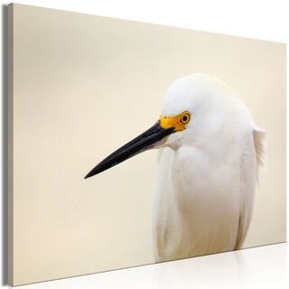 Tavla - Snowy Egret (1 Part) Wide