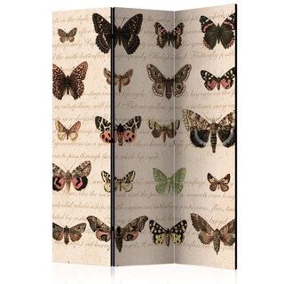 Rumsavdelare - Retro Style: Butterflies [Room Dividers]