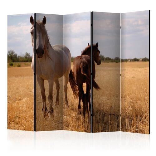 Rumsavdelare - Horse and foal II [Room Dividers]