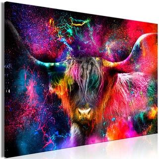 Tavla - Colorful Bull (1 Part) Wide