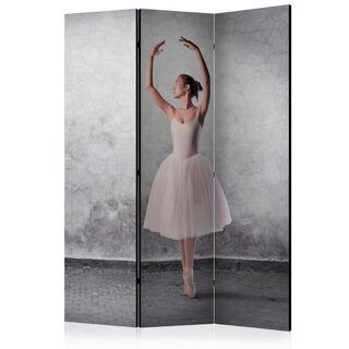 Rumsavdelare - Ballerina in Degas paintings style [Room Dividers]