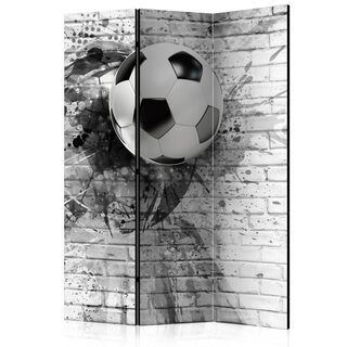 Rumsavdelare - Dynamic Football [Room Dividers]