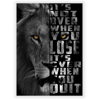 Poster It's not over Lion