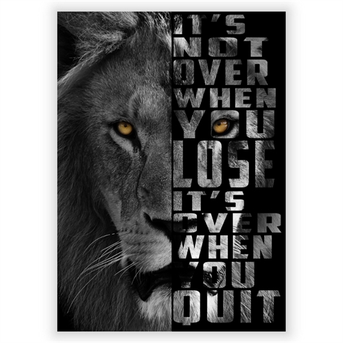 Poster It\'s not over Lion