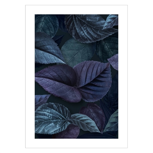 Poster - Löv i nyanser av lila och blått