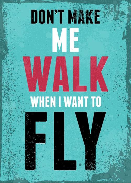 Poster - Don't make me walk when I want to fly