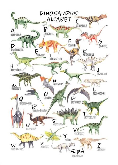 Poster - Dinosaur alfabetet