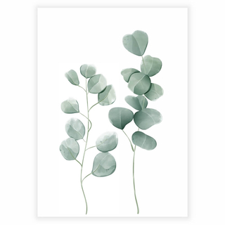 Poster - Eucalyptus leaves 2