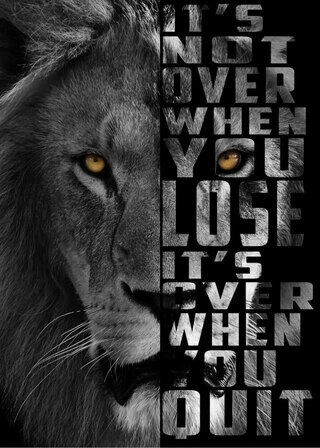 Poster It's not over Lion