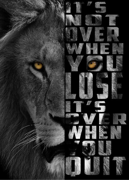 Poster It's not over Lion