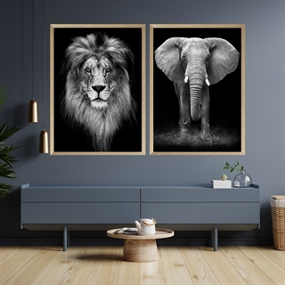 Poster set lejon och elefant