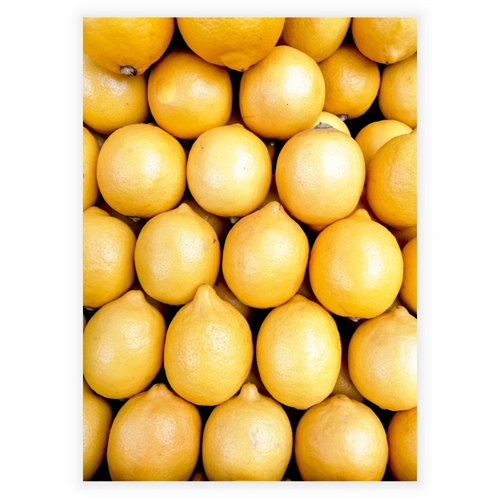 Poster - Citroner