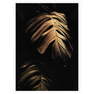Poster med gyllene Monstera-löv