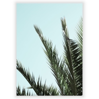 Poster med palmblad 3