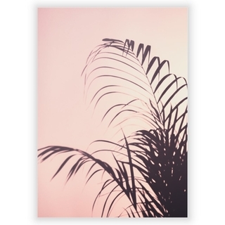 Affisch med palmblad 4