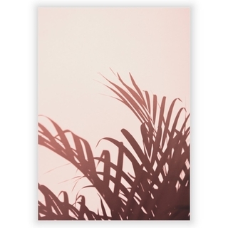 Poster med palmblad 5