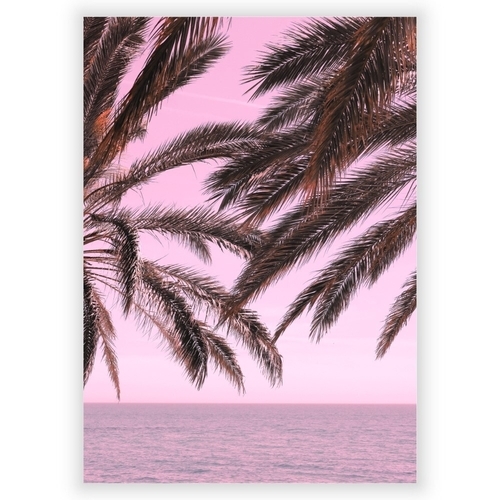 Poster med palmrosa