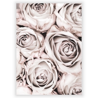Poster med grå ros