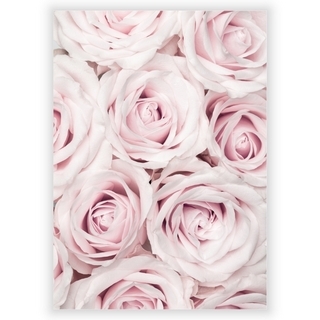 Affisch med rosa rosor 1