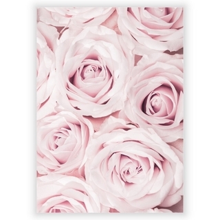 Affisch med rosa rosor 2