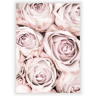 Affisch med rosa rosor 3