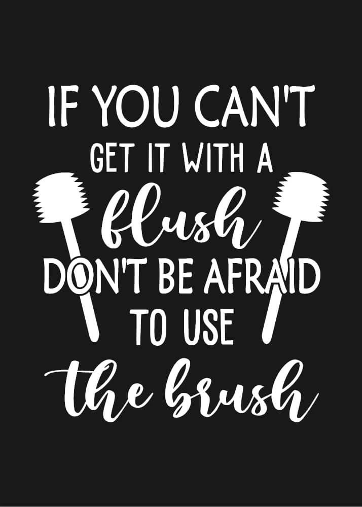 Mörkgrå Flush the Brush - Poster