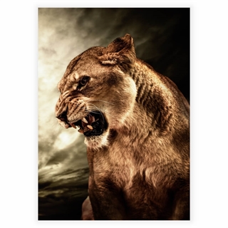 Poster med lejon