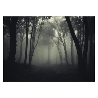Mörk och oklar poster av en dimmig skog