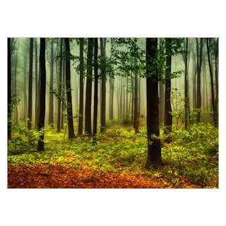 Poster med skogen i höstfärger